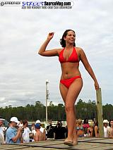 springfling Show Images Page 8